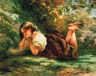 Il nido